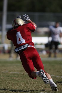 米兰体育正版平台-国王后场火力猛但防守端问题依旧，国王防守怎么样